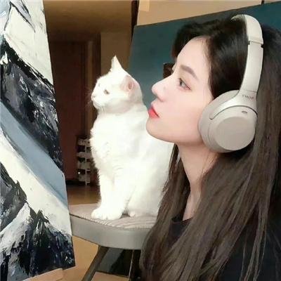 开膛街第一季